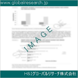 グローバルリサーチ調査資料のイメージ